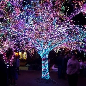 Meet your Posher, Jodi